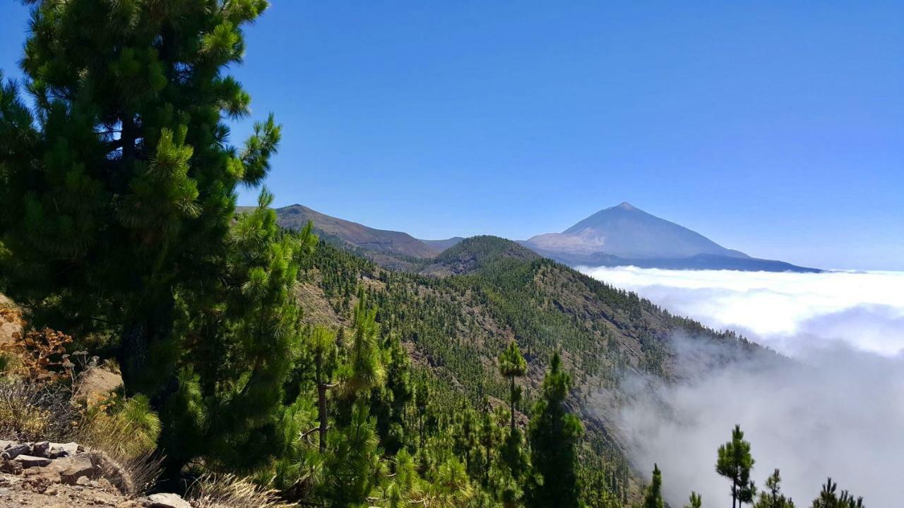 Top View Acantilados De Los Gigantes Acantilado de los Gigantes Екстериор снимка