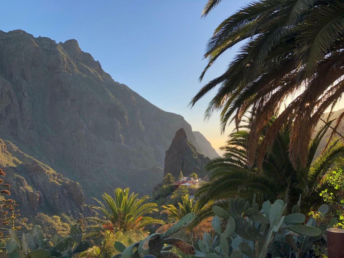 Top View Acantilados De Los Gigantes Acantilado de los Gigantes Екстериор снимка